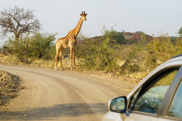Ponta do Ouro: The Hidden African Paradise in Mozambique